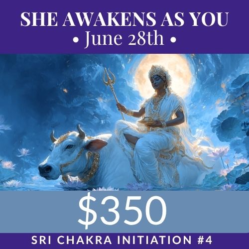 'Coming Home: She Awakens As You' Initiation #4
