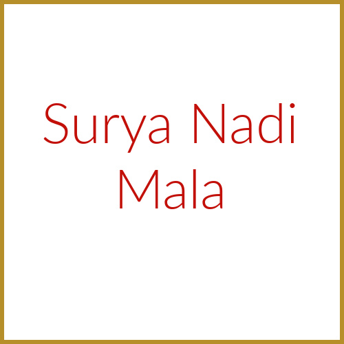 Surya Nadi Mala Charged by Sri Kaleshwar