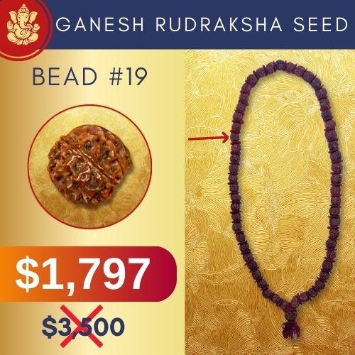 Ganesh Rudraksha Power Object Bead #19