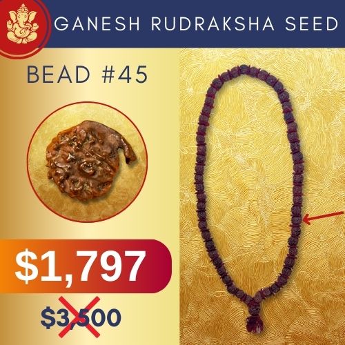 Ganesh Rudraksha Power Object Bead #45