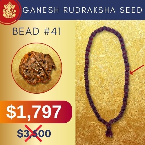 Ganesh Rudraksha Power Object Bead #41