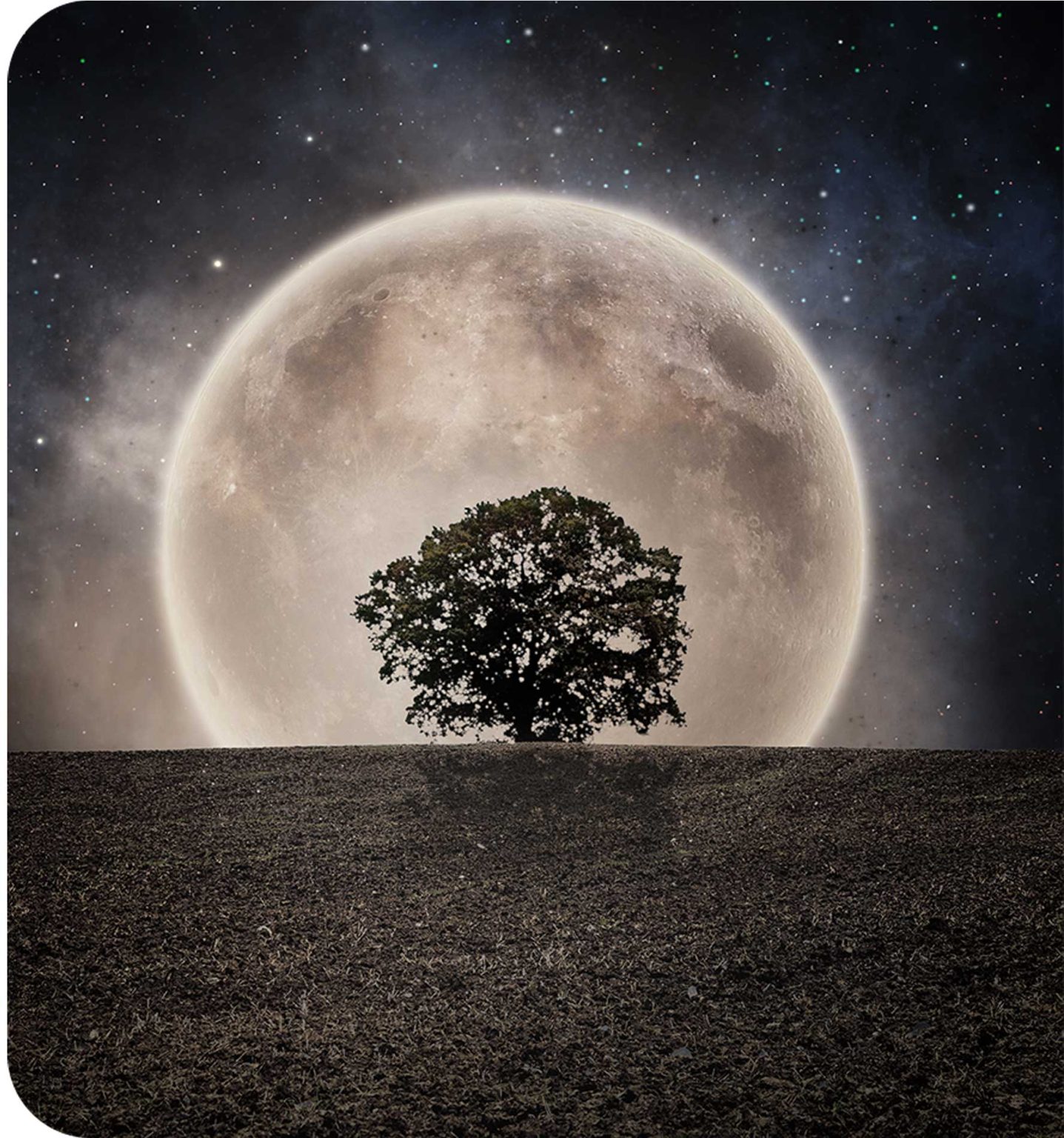 5 Steps to Full Moon Manifestation