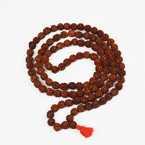 Rudraksha Power Package — Rudraksha mala charged by Sri Kaleshwar